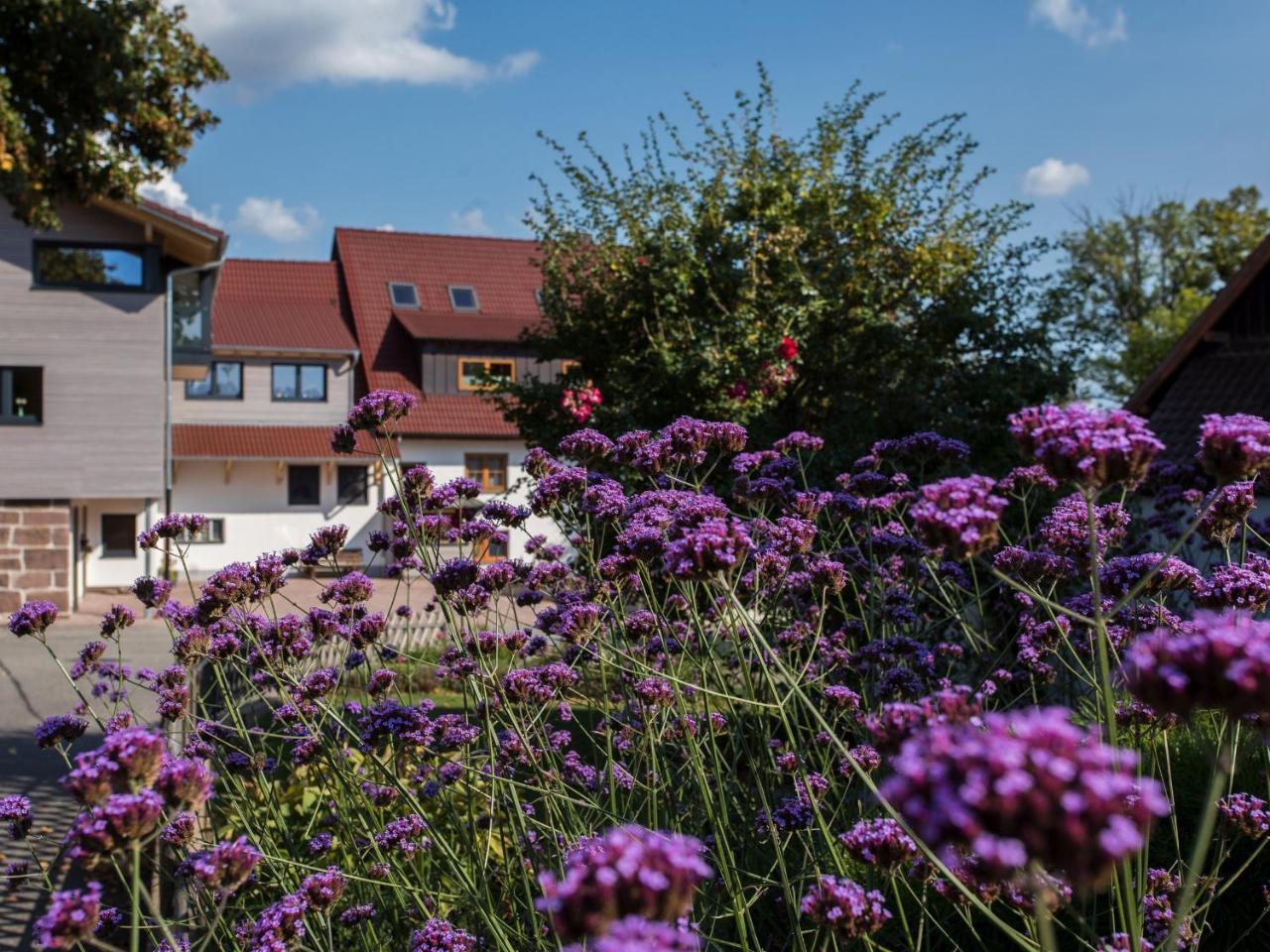 Saunaloft Schwarzwald Gemeinde Gemeinde Aichhalden Esterno foto
