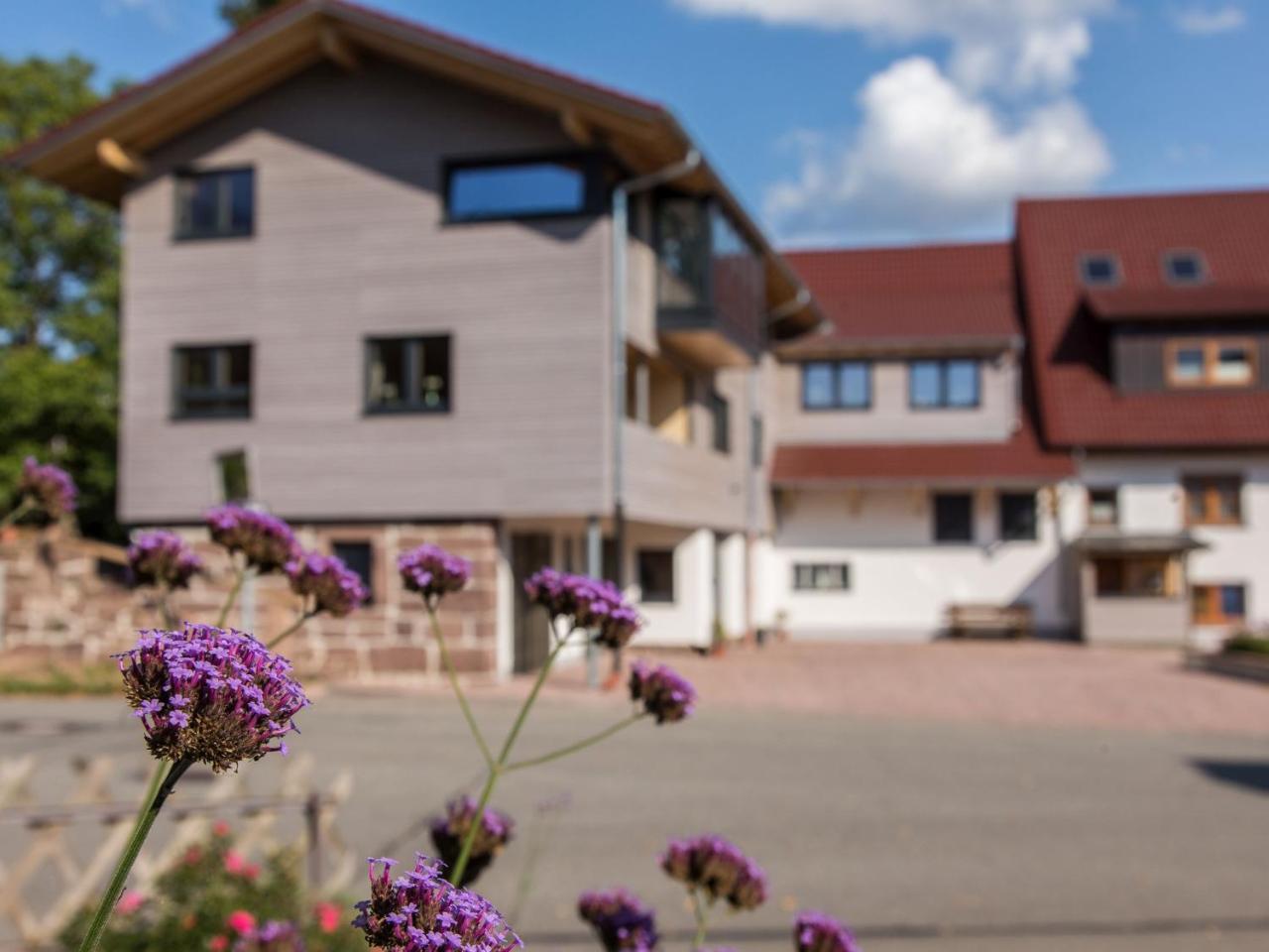 Saunaloft Schwarzwald Gemeinde Gemeinde Aichhalden Esterno foto