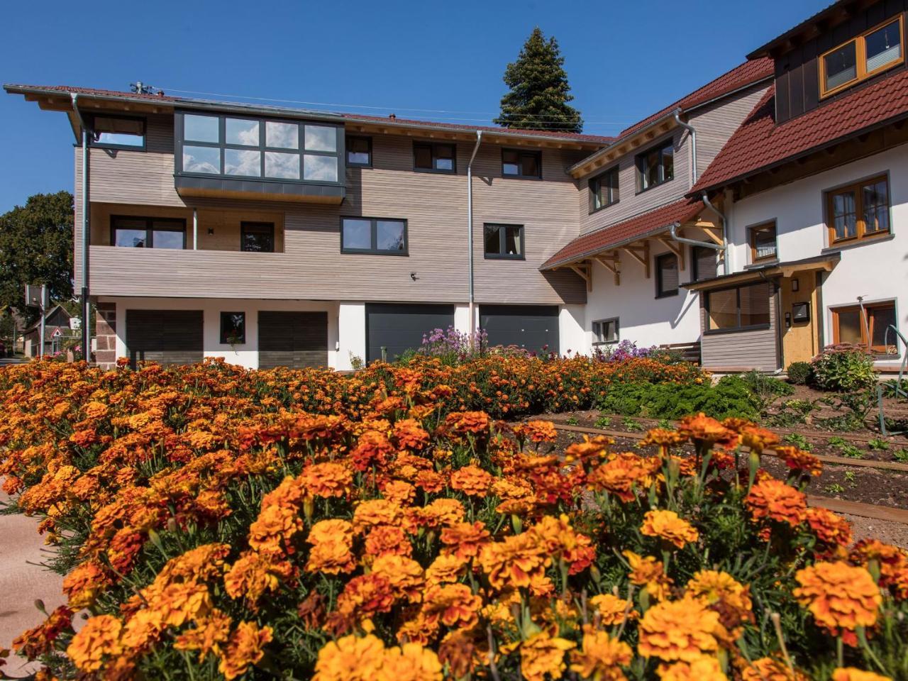 Saunaloft Schwarzwald Gemeinde Gemeinde Aichhalden Esterno foto